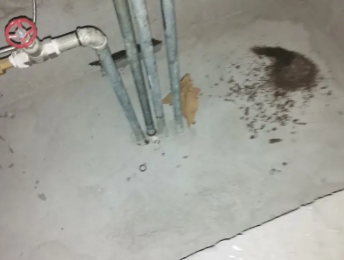 邵东卫生间测漏水价格明细